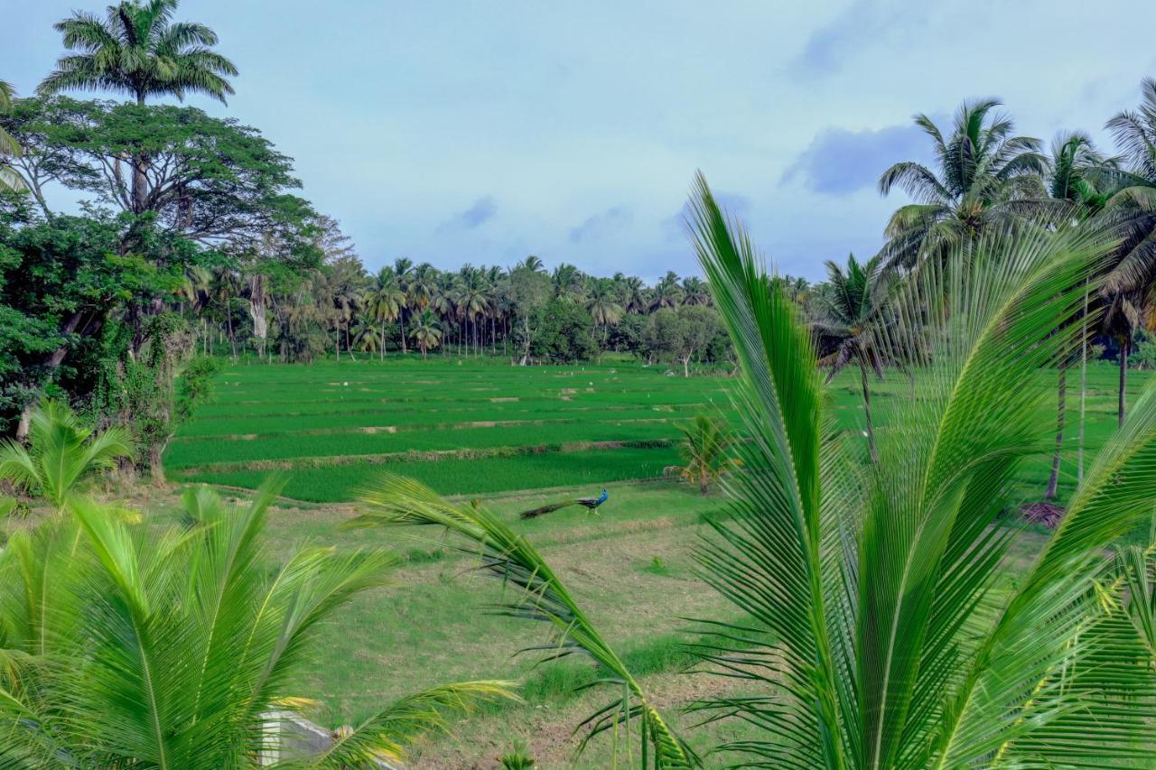 Brindavan Garden Resort & Spa Krishnarajasagara Экстерьер фото